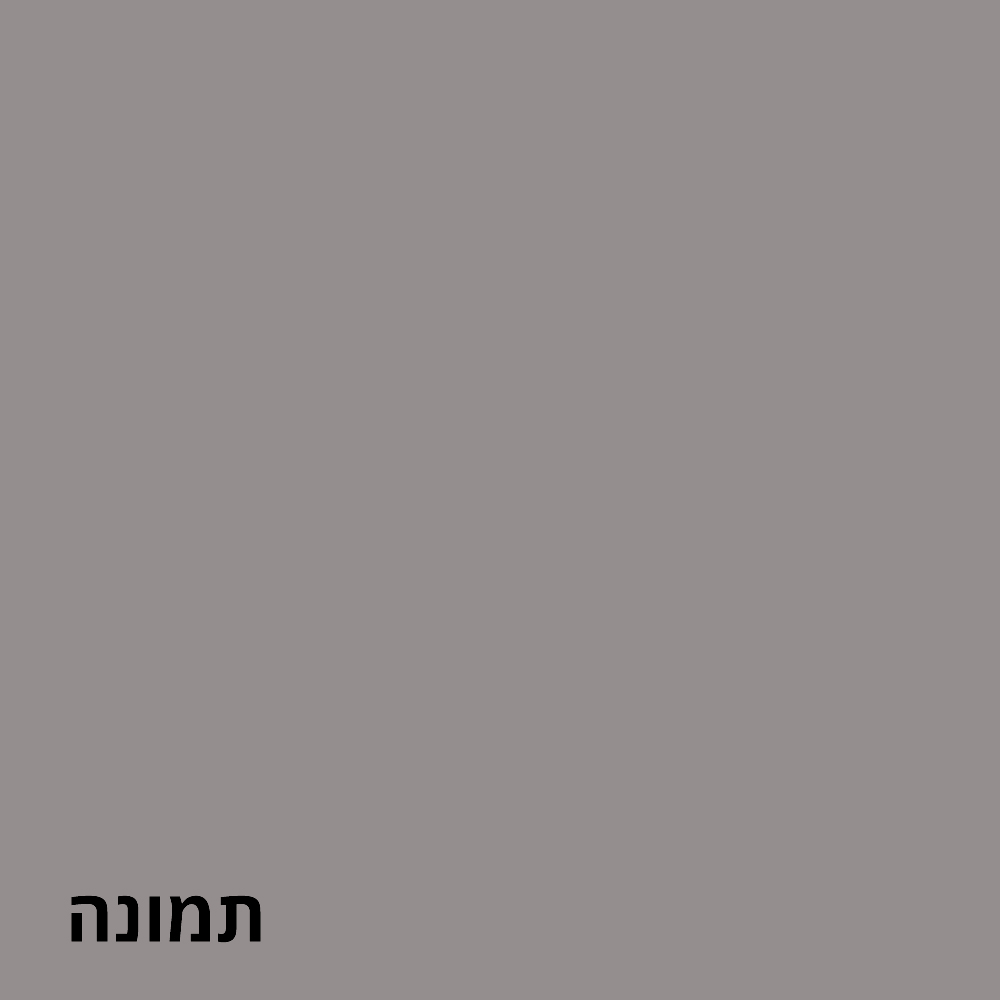 תמונה 2