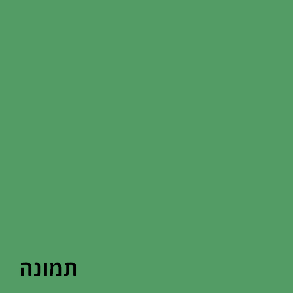 תמונה 3