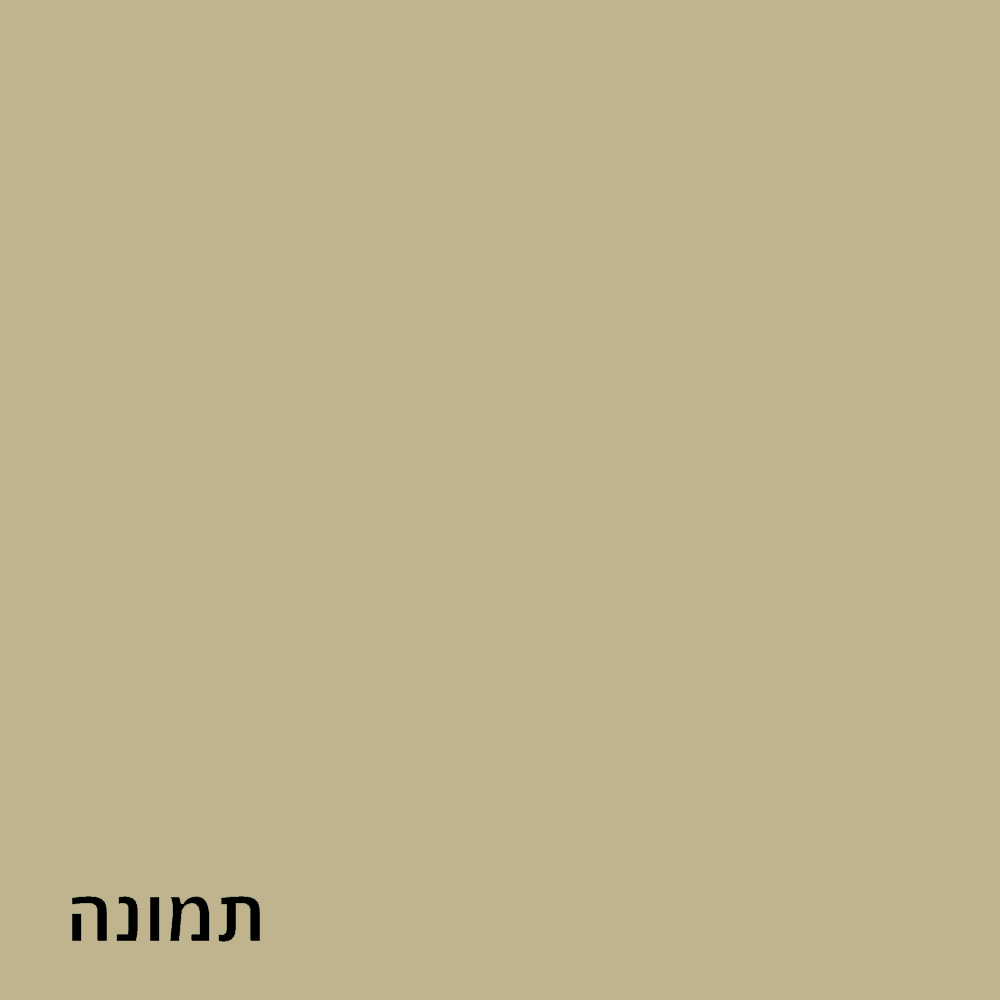 תמונה 4