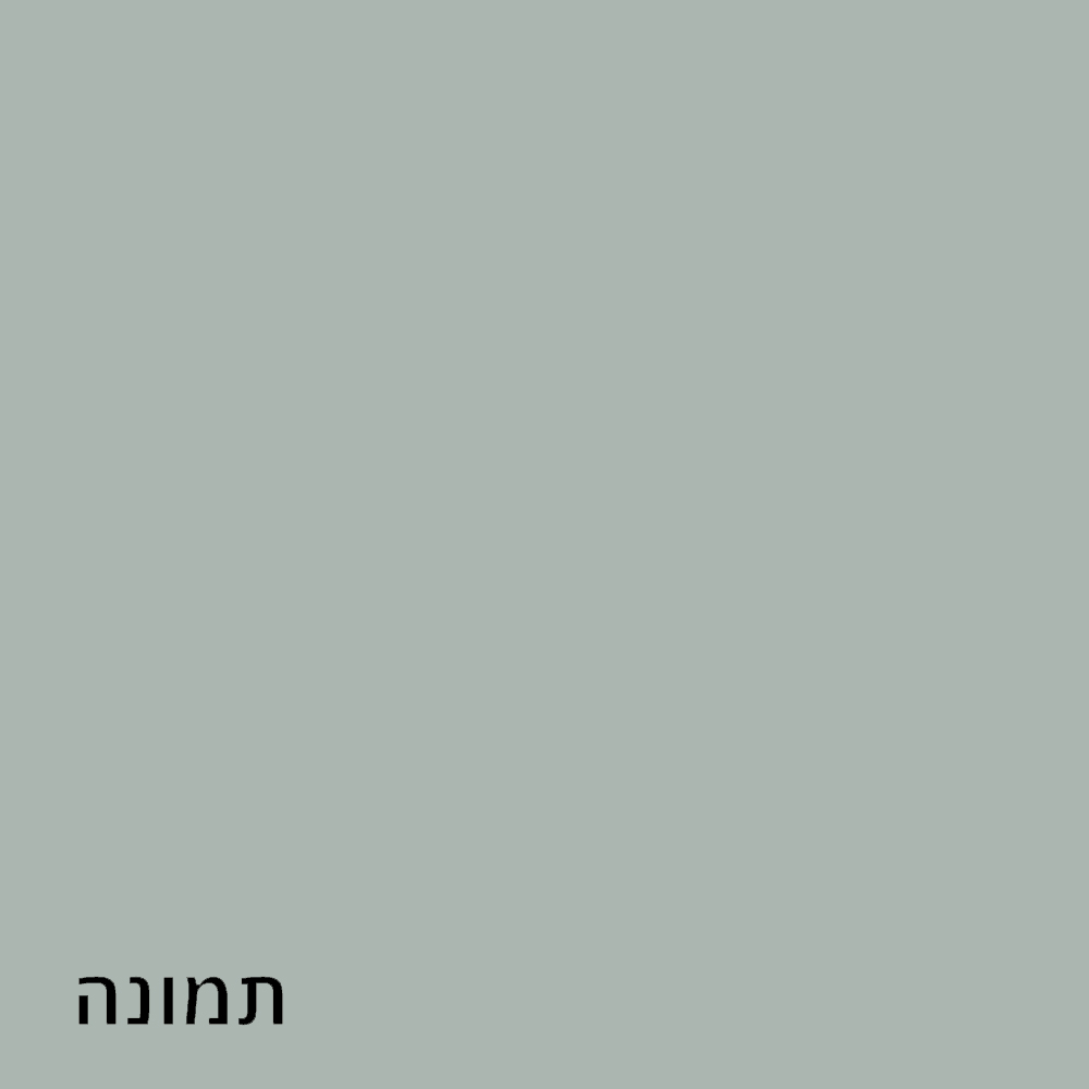 תמונה 6